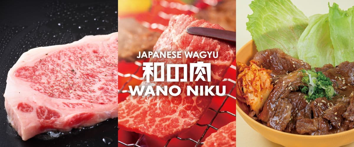 Wano Niku